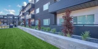 The Clara Gallery 12