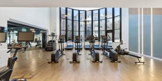 Windsor at Liberty House Gallery 24