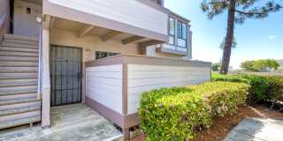 9209 Village Glen DriveUnit 146 Gallery 19