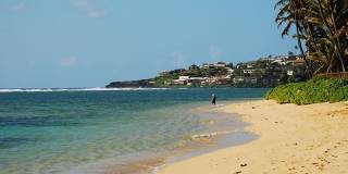 2bd/2ba Home w/Private Pool, Upscale decor, & Near Kahala Beach. Kahala Cottage Gallery 26