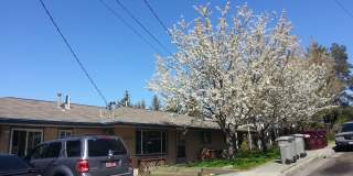 1300 Ne Williams St Gallery 1