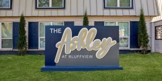 The Ashley Gallery 1