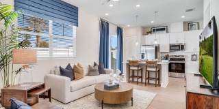 Yardly Bellalago Gallery 12