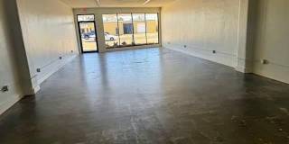 317 LOUISVILLE AVENUE Gallery 4