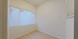 University Manor - Newly Renovated Units just a short walk from Campus! Gallery 74