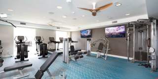 770 South Harbor Gallery 44