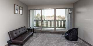 Large 1 & 2 Bedrooms available, PET FRIENDLY! Gallery 84