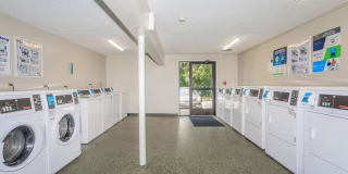 Nutmeg Woods Gallery 17