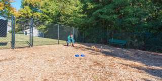 Emerge Oakcrest Gallery 26