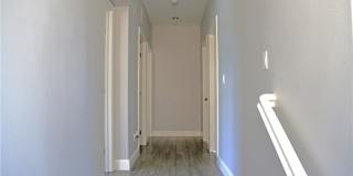 132 Island Coral Gallery 18