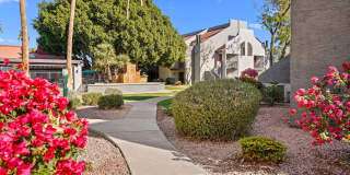 Waterford Place Gallery 26