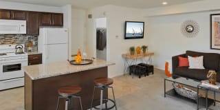 Plum Tree Gallery 21