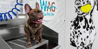 AVA Hollywood at La Pietra Place Gallery 25