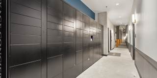 Adera Gallery 28