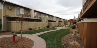 Mountain View Apartments Gallery 12