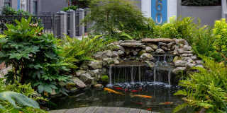 Buckhead 960 Gallery 14