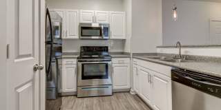 The Saulet Gallery 1