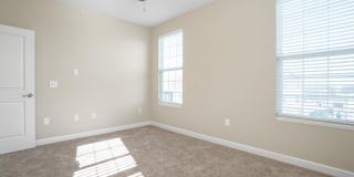 5906 Whitebark Pine Trail Gallery 25