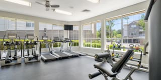 Preston View Gallery 23