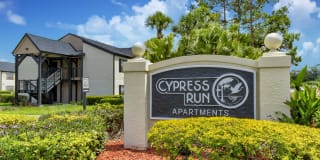 Cypress Run Gallery 23