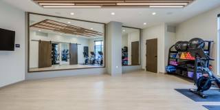 Maison Green Gallery 21