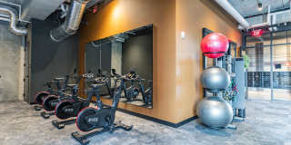 Carbon31 Gallery 29