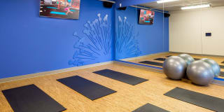 The Paxon Gallery 25