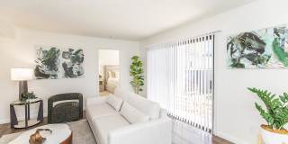 Mosaic Apartment Homes Gallery 13