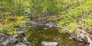 124 Saunders Drive Gallery 39