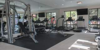 Mezzo Kirby Med Center Gallery 21