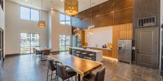 Forena Revelstoke Gallery 25