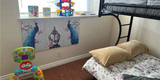 3685 Jicama Street Gallery 29