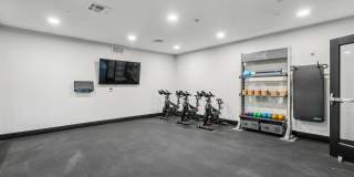 Embark Gallery 30