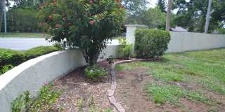 2001 Dover Ct Gallery 3