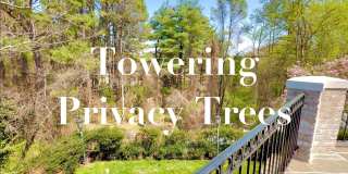 1289 BALLANTRAE FARM Drive Gallery 71