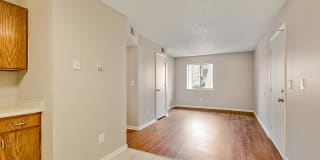North Hill Gallery 7