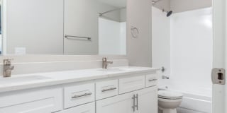 Avana Chestnut Hill Gallery 9