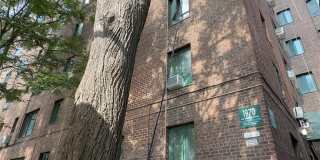 1970 E Tremont Avenue Gallery 1