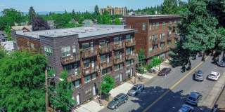 Hamilton and Eliza Gallery 5