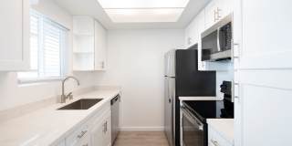 The Pacific at Mission Bay Gallery 21