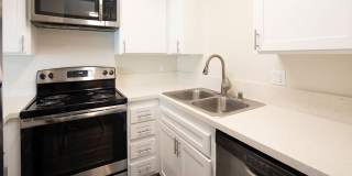 Golden Pacific Gallery 5