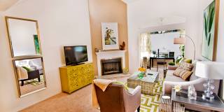 Clearwater Creek Gallery 3