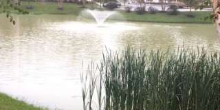 7474 Pebble Lake Drive Gallery 4