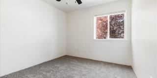 Foster Plaza Gallery 12