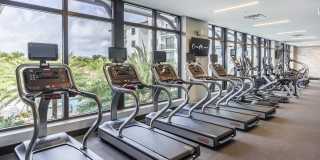 Casa Mara Gallery 22