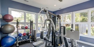 Westfield Village Gallery 10