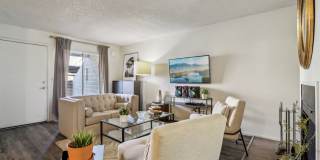 Del Coronado Gallery 3