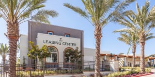 The Seaton Gallery 30