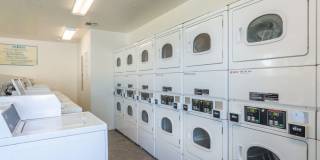 Laurel Heights Gallery 13