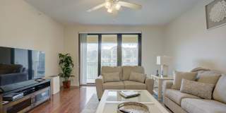 Ocean Trace 2-202 Gallery 14